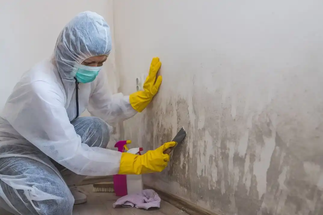 water damage restoration service LaSalle